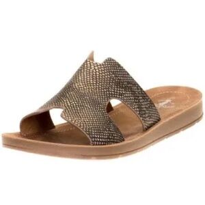 Corky’s Bolgolusa in Gunmetal